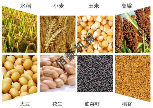 移動(dòng)式糧食烘干機(jī)